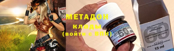 PSILOCYBIN Алагир