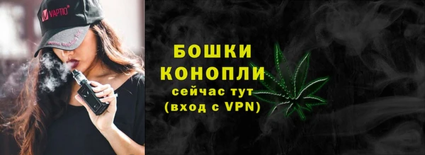 дмт Новозыбков