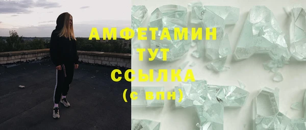 дмт Новозыбков