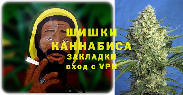 дмт Новозыбков